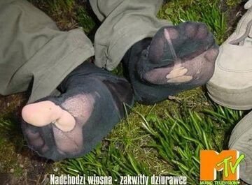 Nadchodzi wiosna - zakwitły dziurawce