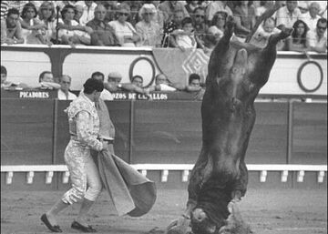 trochę go poniosło