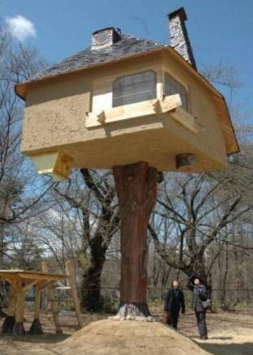 Domek na drzewie, dosłownie