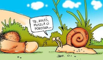 Te, koleś, muszla Ci porosła