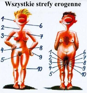 Wszystkie sfery erogenne