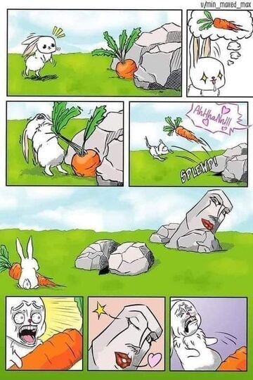 Przygoda królika