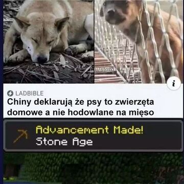 Nareszcie jakiś postęp w Chinach 😜