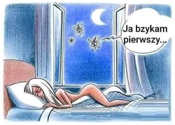 Ja bzykam pierwszy