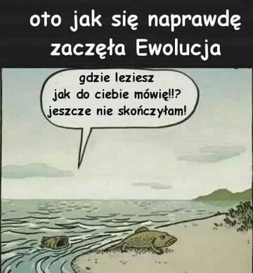 Tak było 🫢