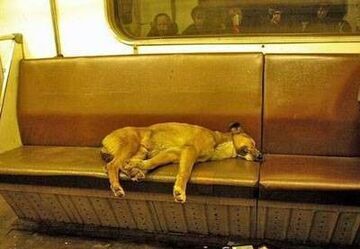 w metrze