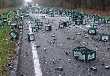 Jak grzyby po deszczu