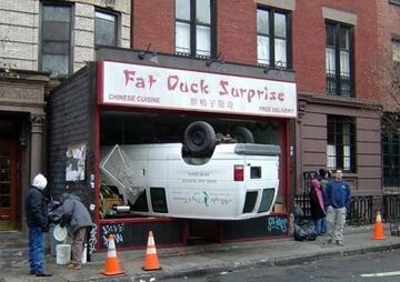 Duck Suprise