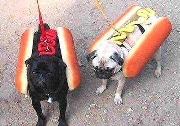 hot dogi, dosłownie