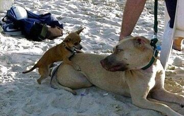 wielkość nie ma znaczenia