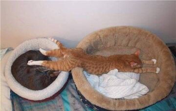 co się rozpychasz!?