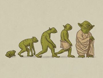 Yoda - ewolucja