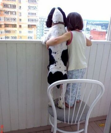 pies z dzieckiem wyglądają przez balkon