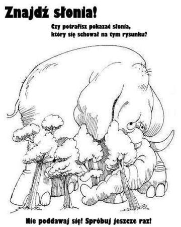 Znajdź słonia!