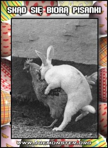 skąd się biorą pisanki