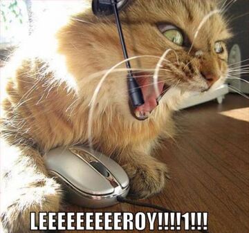 LEEEEEEEEEROY!