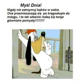 Myśl Dnia!