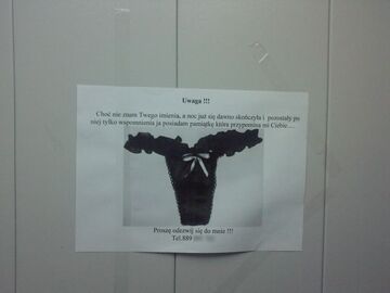 Poszukiwanie właścicielki.