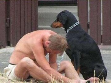 zawsze pilnuje swojego pana