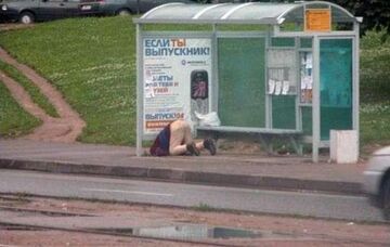 Struś na przystanku