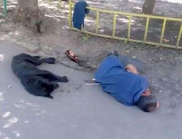 Jaki pan, takie pies?