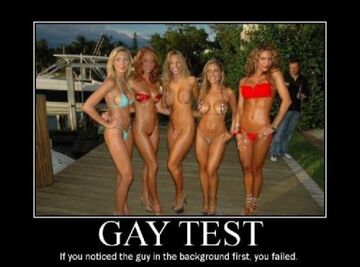 Gay Test