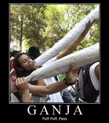 Ganja