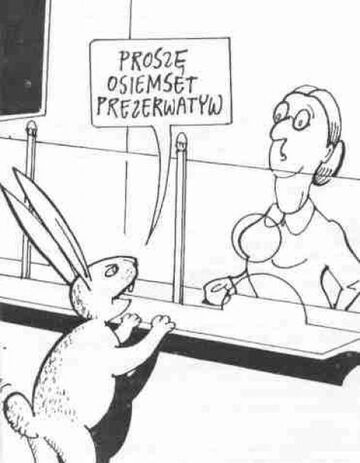 Proszę osiemset prezerwatyw