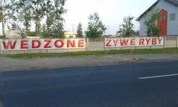 Wędzone żywe ryby