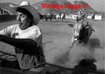 kto by się nie bał?