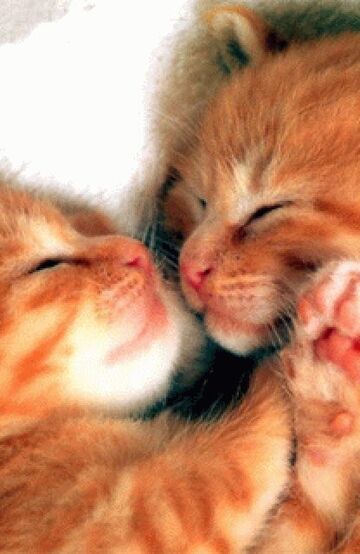 słodko się zrobiło