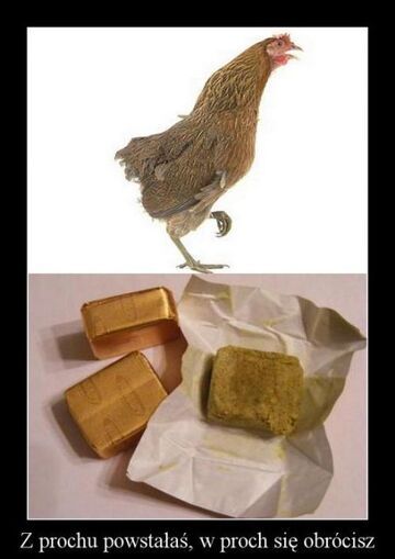 Z prochu powstałaś, w proch się obrócisz.