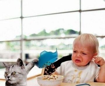 Dlaczego dzieci nie chcą jeść