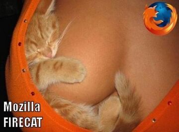 Mozilla FIRECAT