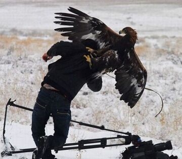 Ty, możesz być następny...