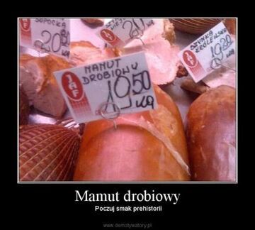 Mamut drobiowy