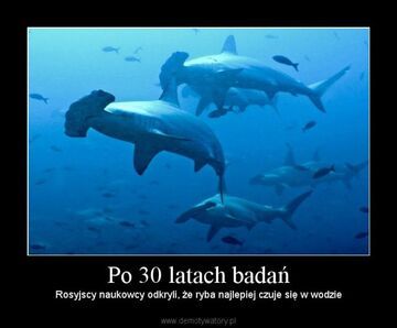 Po 30 latach badań
