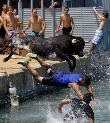 Ucieczka przed bykiem