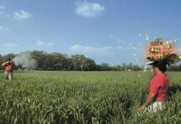 Strzał do Arbuza na głowie