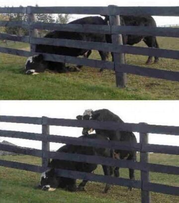 Inni tylko czekają na twoje potknięcie