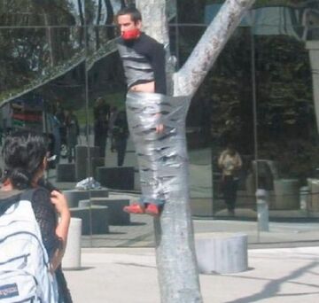 Przyklejony do drzewa taśmą