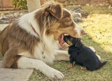 Bezgraniczne zaufanie...