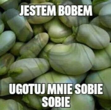 Jestem bobem