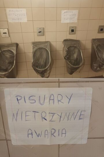 "Pisuary nietrzynne"