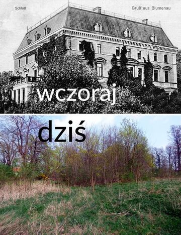 Pałac w Kwietnikach