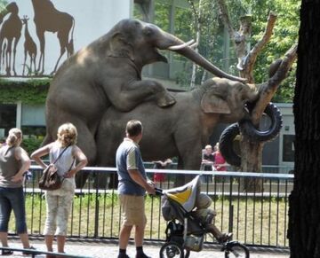 Jak przyjdzie ochota...