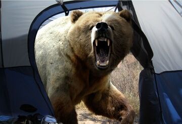 Szybkie przebudzenie