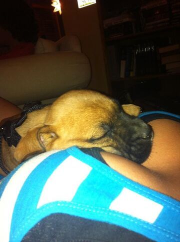 Kto by nie chciał?!