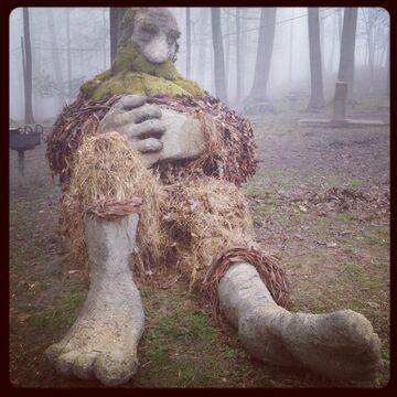 WTF?! Olbrzym w lesie