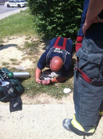 Piękna praca strażaków